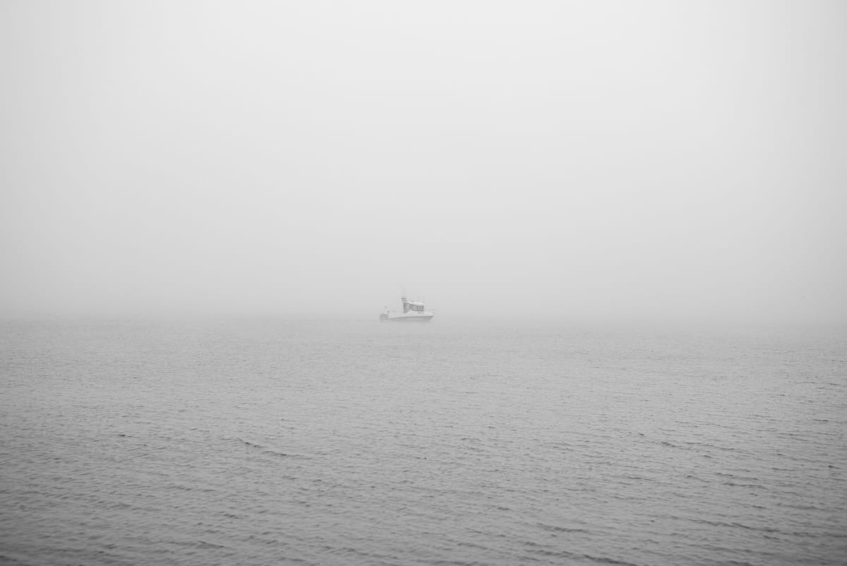 Zimą musi być zimno