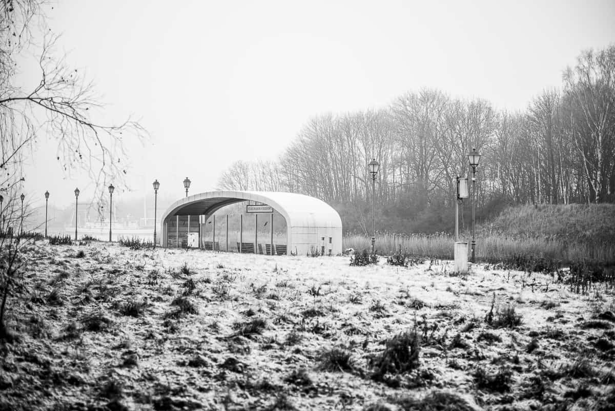 Zimą musi być zimno