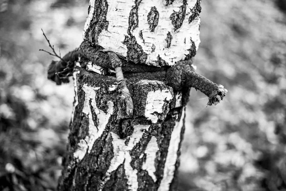 Zimą musi być zimno