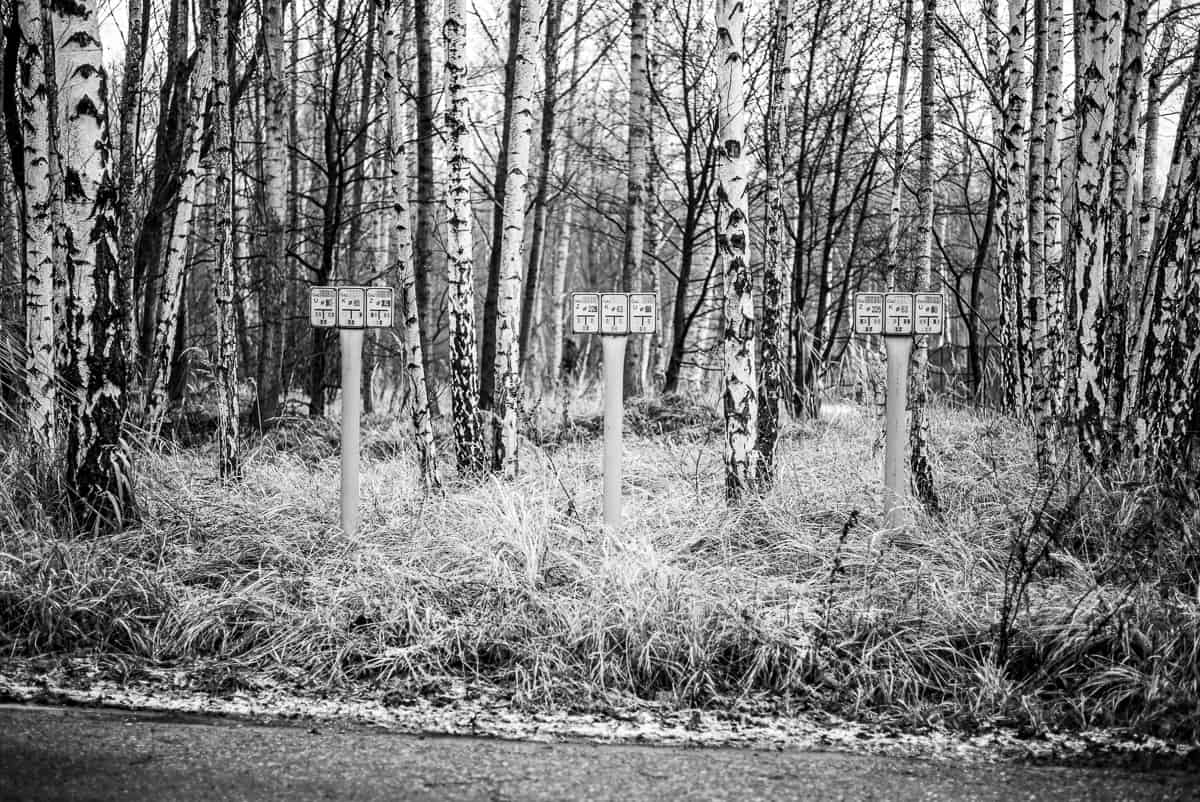 Zimą musi być zimno