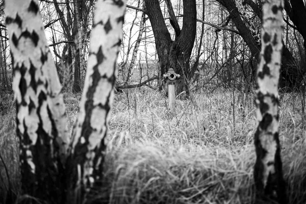 Zimą musi być zimno