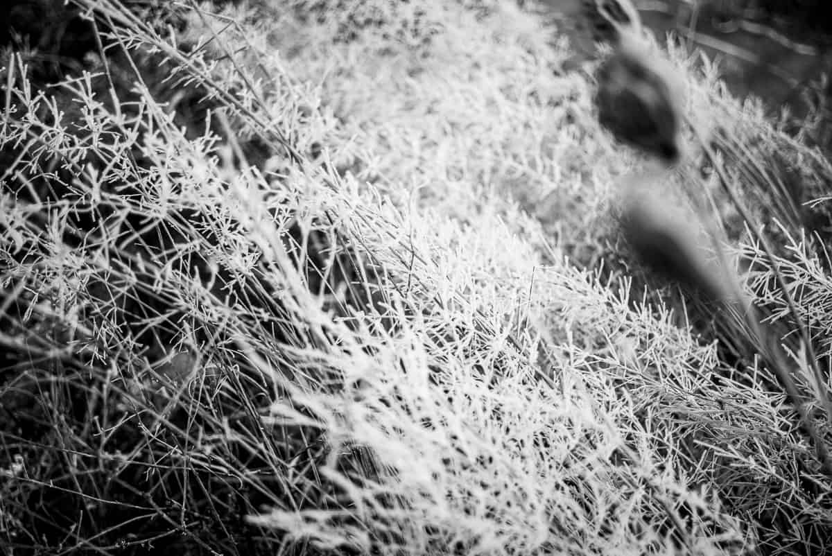 Zimą musi być zimno