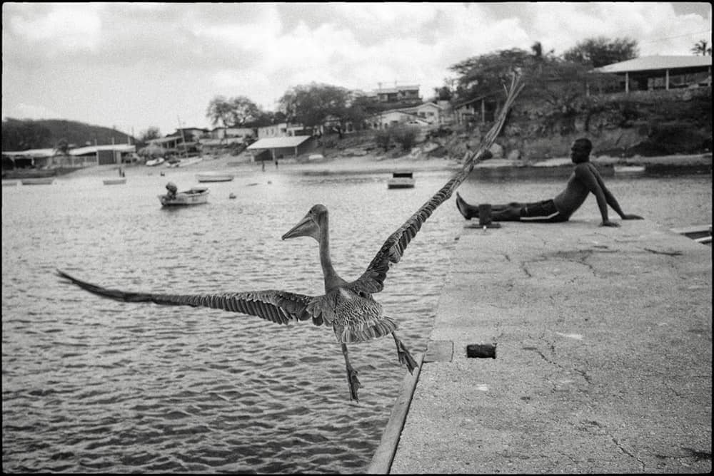 fot. Hans van Leeuwen