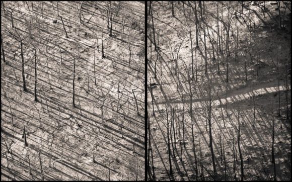 Dan Winters