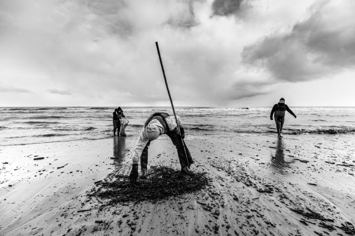 Poławiacze bursztynu