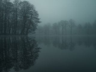 Hasselblad 907x 100c