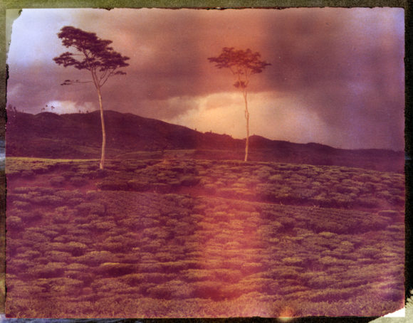 Cejlon, Sri Lanka, Polaroid 559