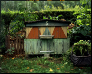 dlaczego nie wrócę do analoga